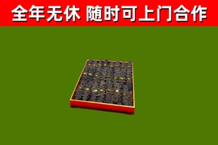 鼓楼回收海参